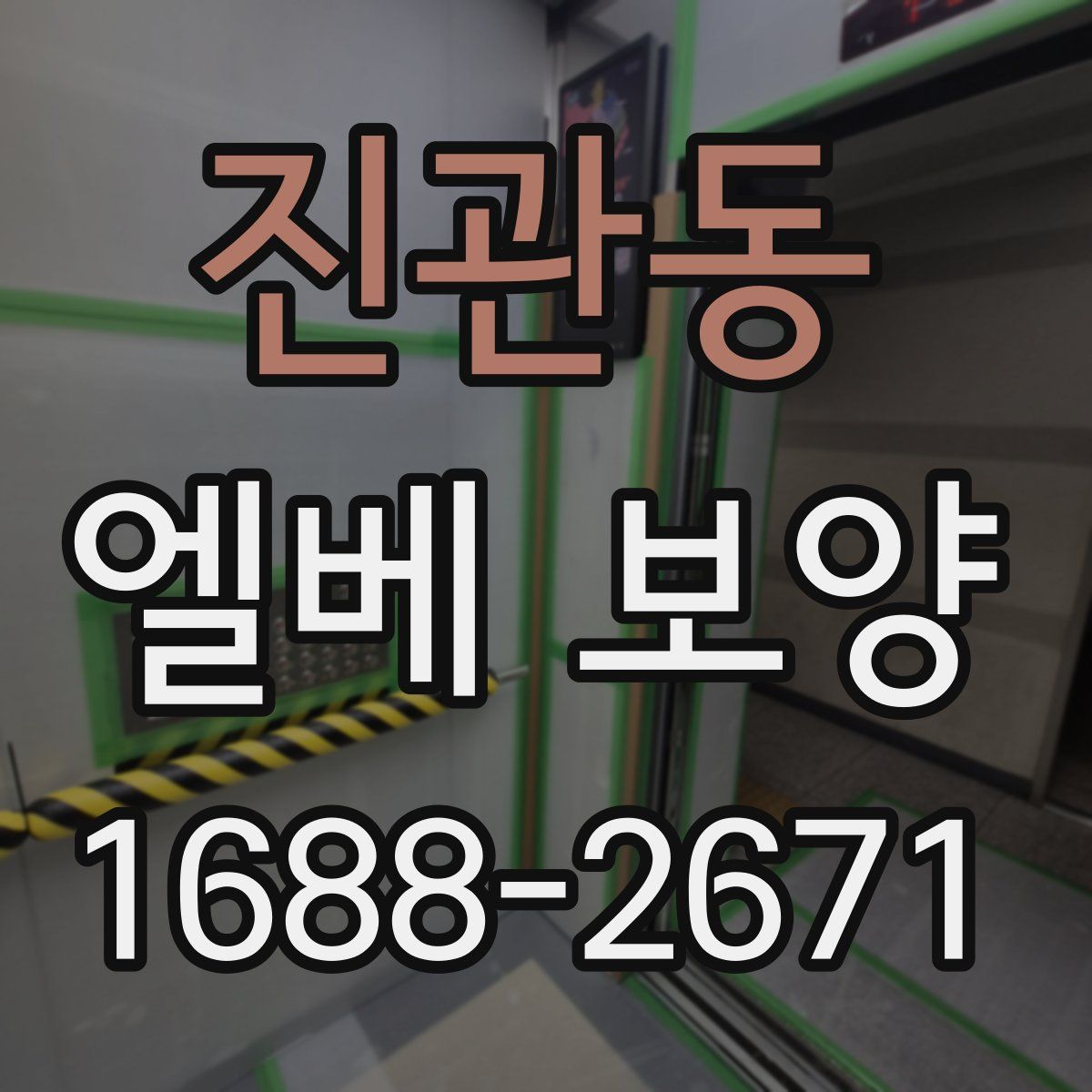 진관동 엘베 보양