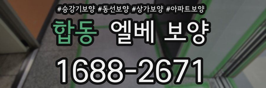 합동 엘베 보양
