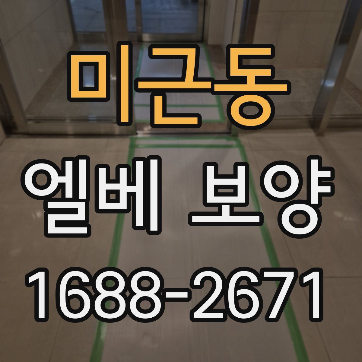 미근동 엘베 보양
