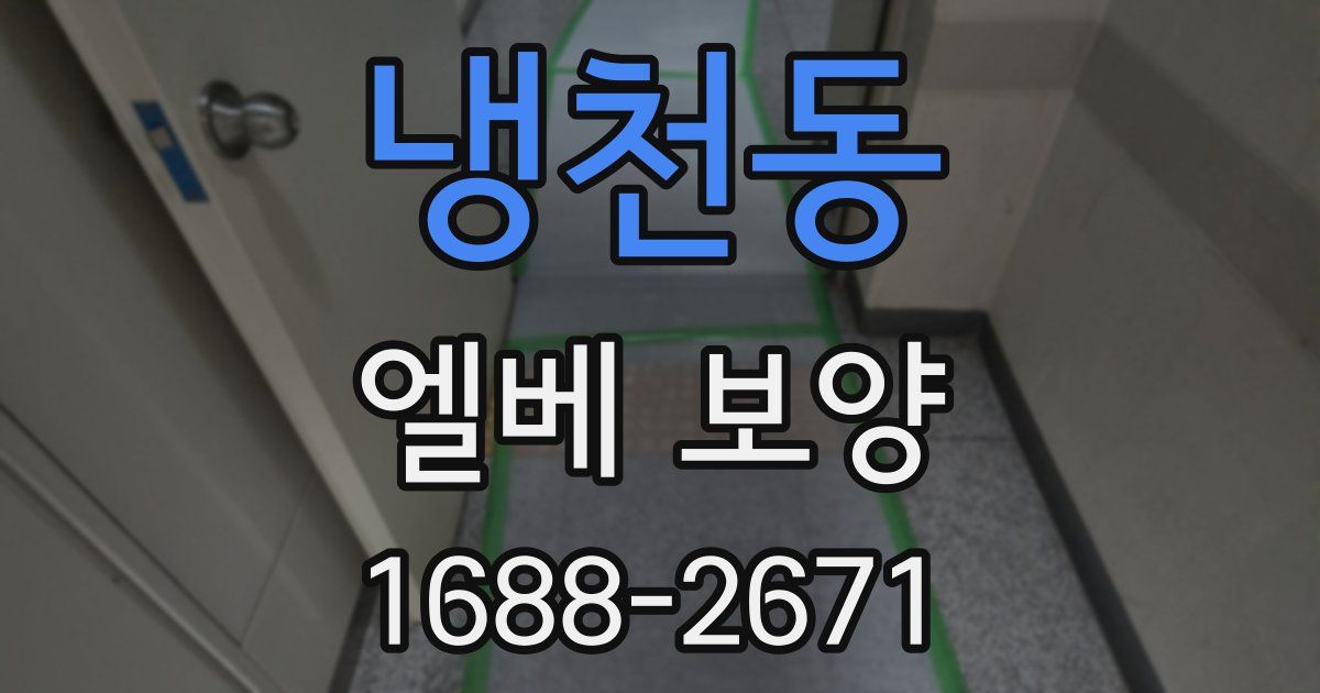 냉천동 엘베 보양