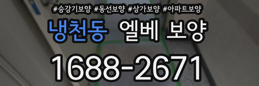 냉천동 엘베 보양