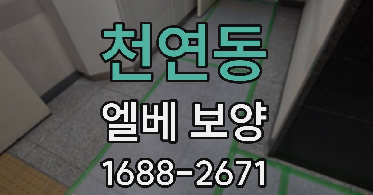 천연동 엘베 보양