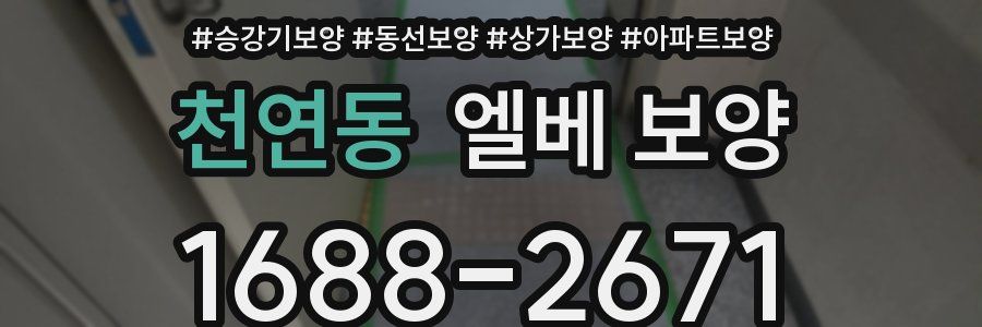 천연동 엘베 보양