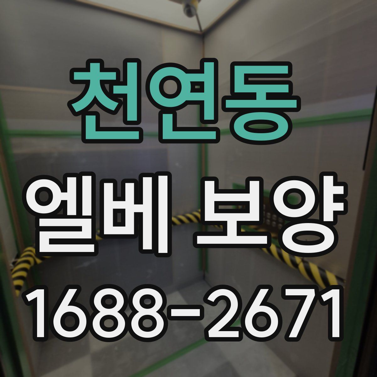 천연동 엘베 보양