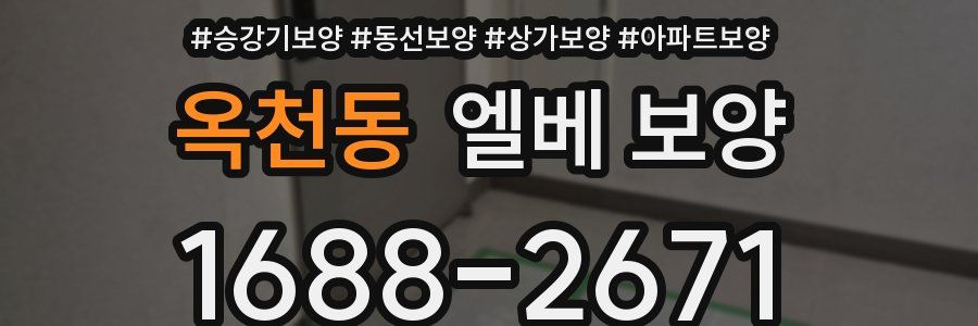 옥천동 엘베 보양