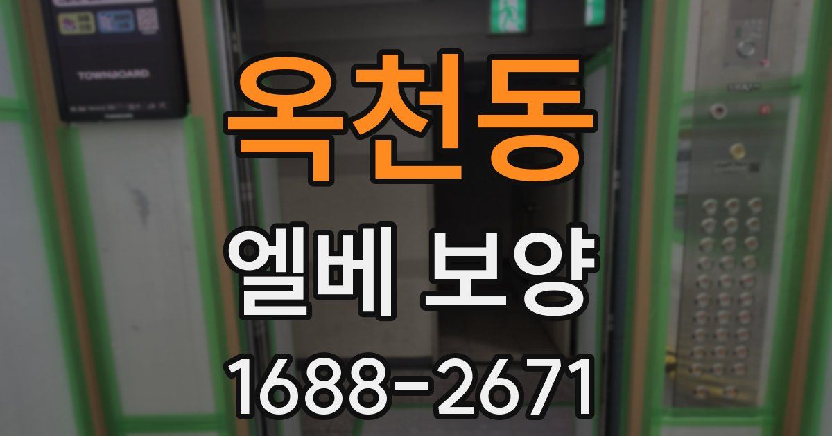 옥천동 엘베 보양