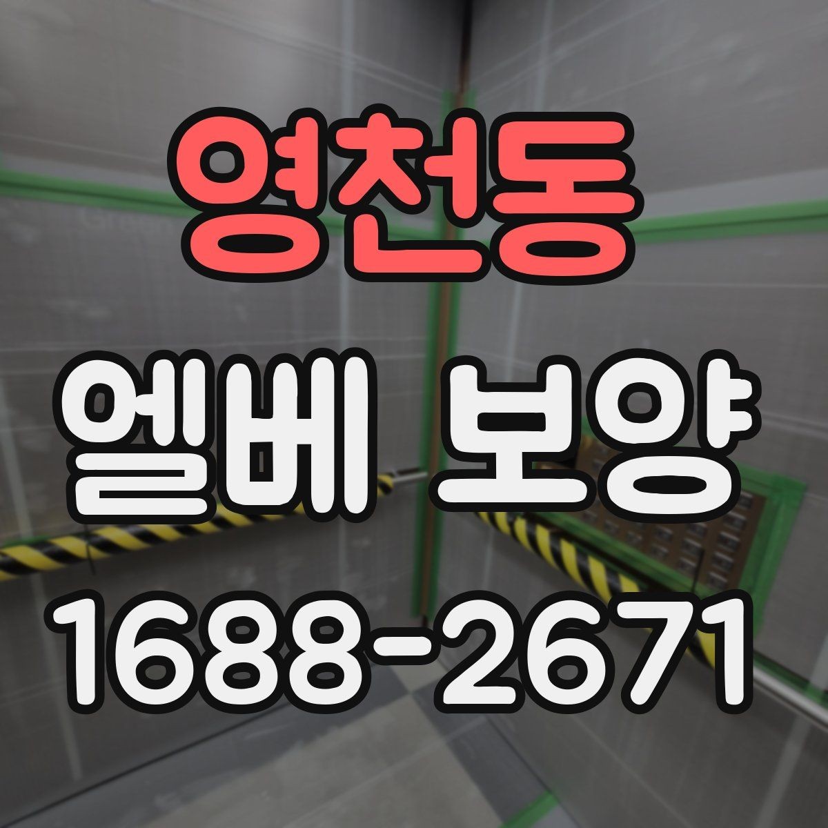영천동 엘베 보양 마감재에 따라 달라지는 재질 고르기