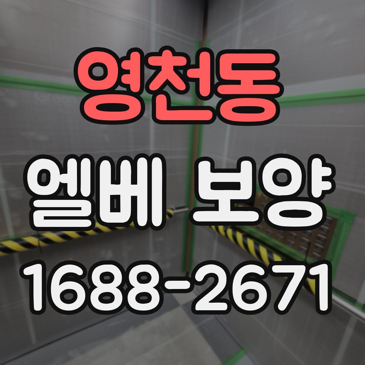영천동 엘베 보양