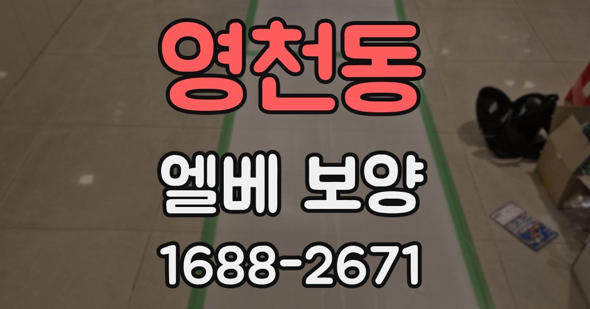 영천동 엘베 보양