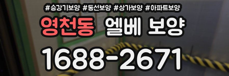 영천동 엘베 보양