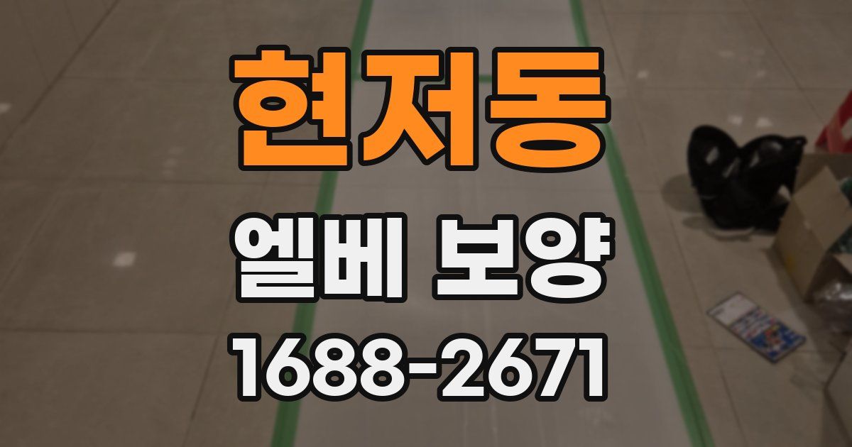 현저동 엘베 보양