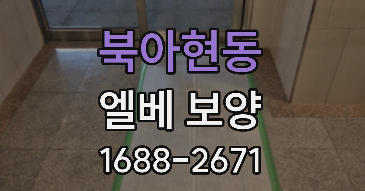 북아현동 엘베 보양