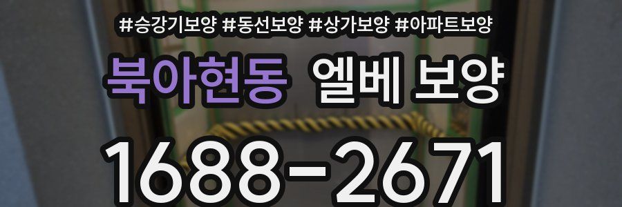 북아현동 엘베 보양