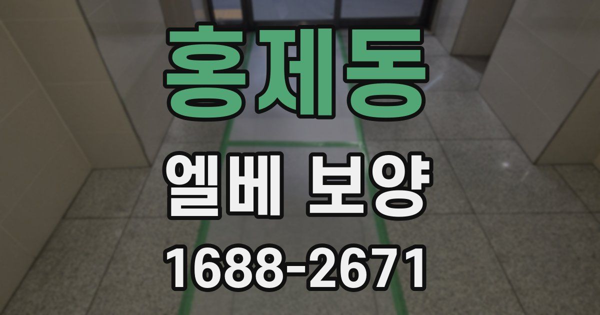 홍제동 엘베 보양
