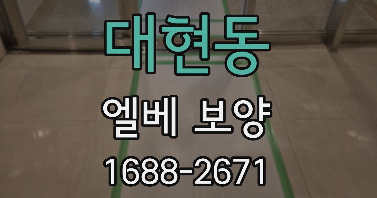 대현동 엘베 보양