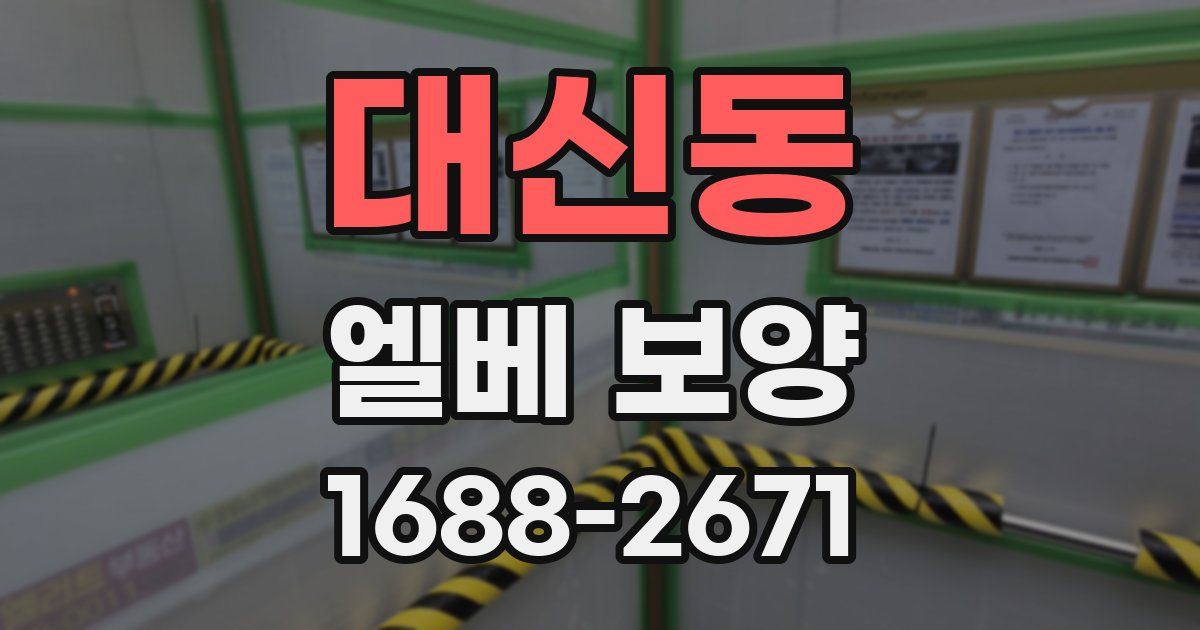 대신동 엘베 보양