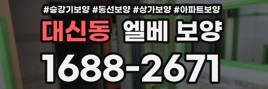 대신동 엘베 보양