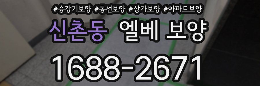 신촌동 엘베 보양