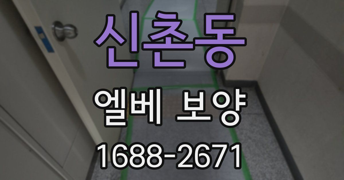 신촌동 엘베 보양