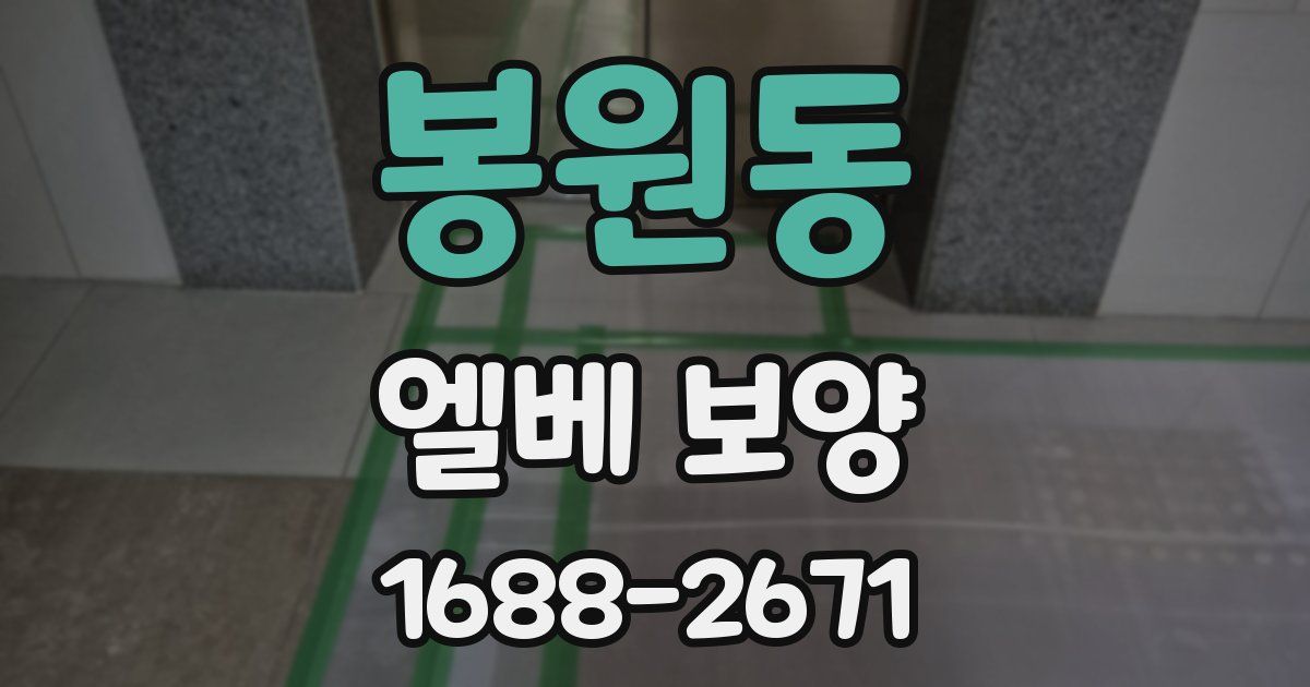 봉원동 엘베 보양