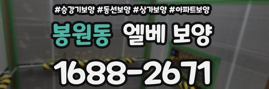 봉원동 엘베 보양