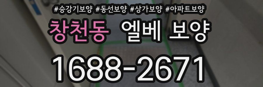 창천동 엘베 보양