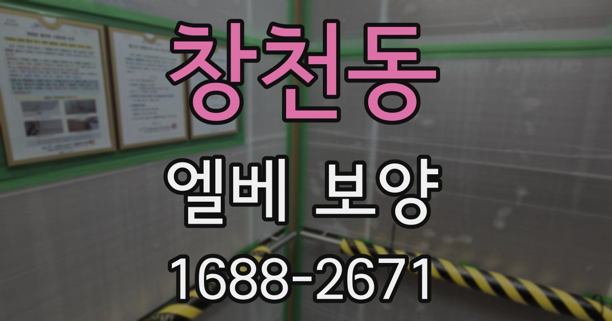 창천동 엘베 보양