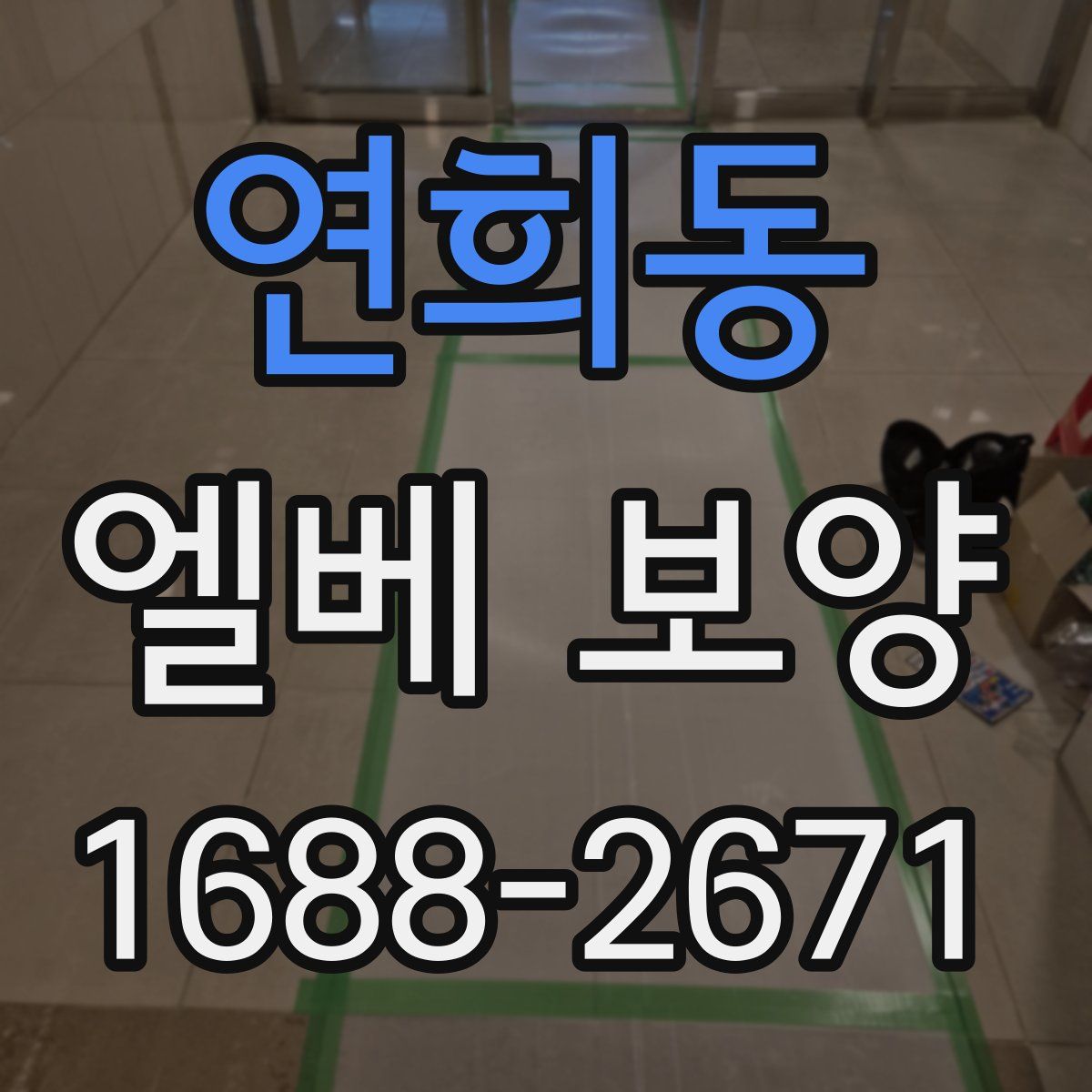 연희동 엘베 보양