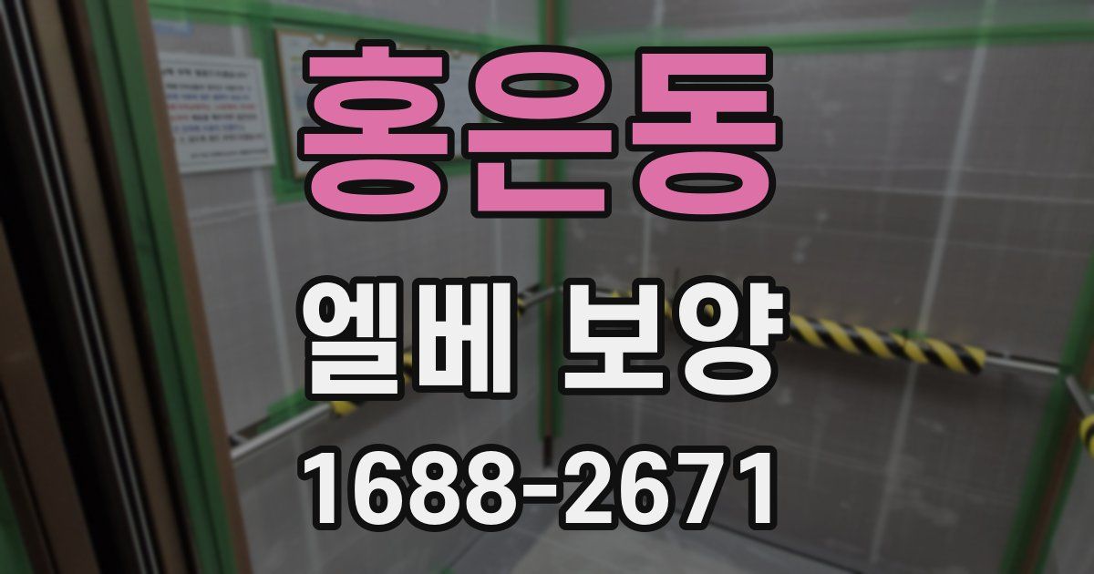 홍은동 엘베 보양