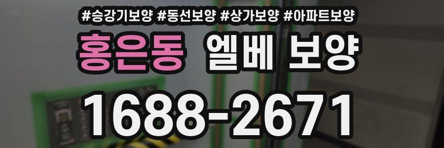 홍은동 엘베 보양