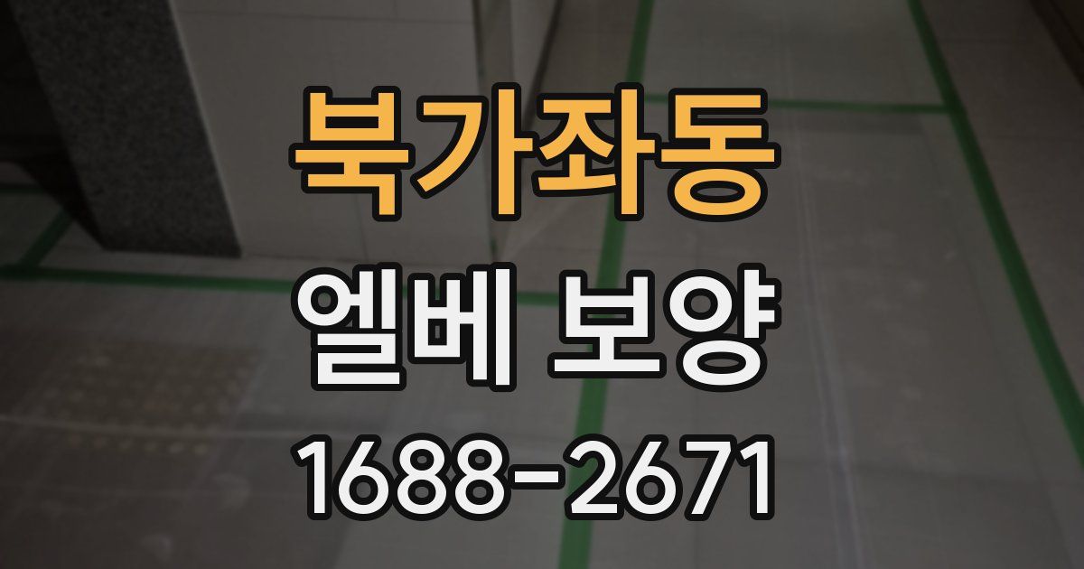 북가좌동 엘베 보양