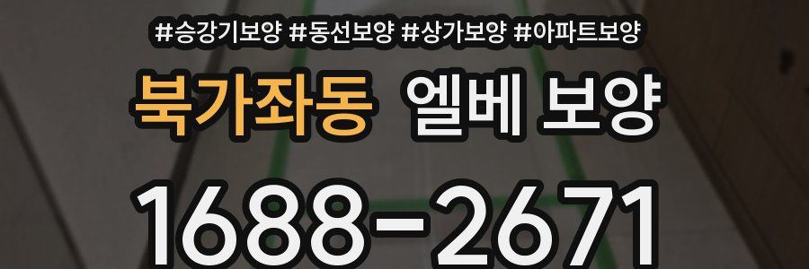 북가좌동 엘베 보양