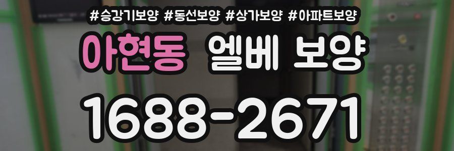 아현동 엘베 보양