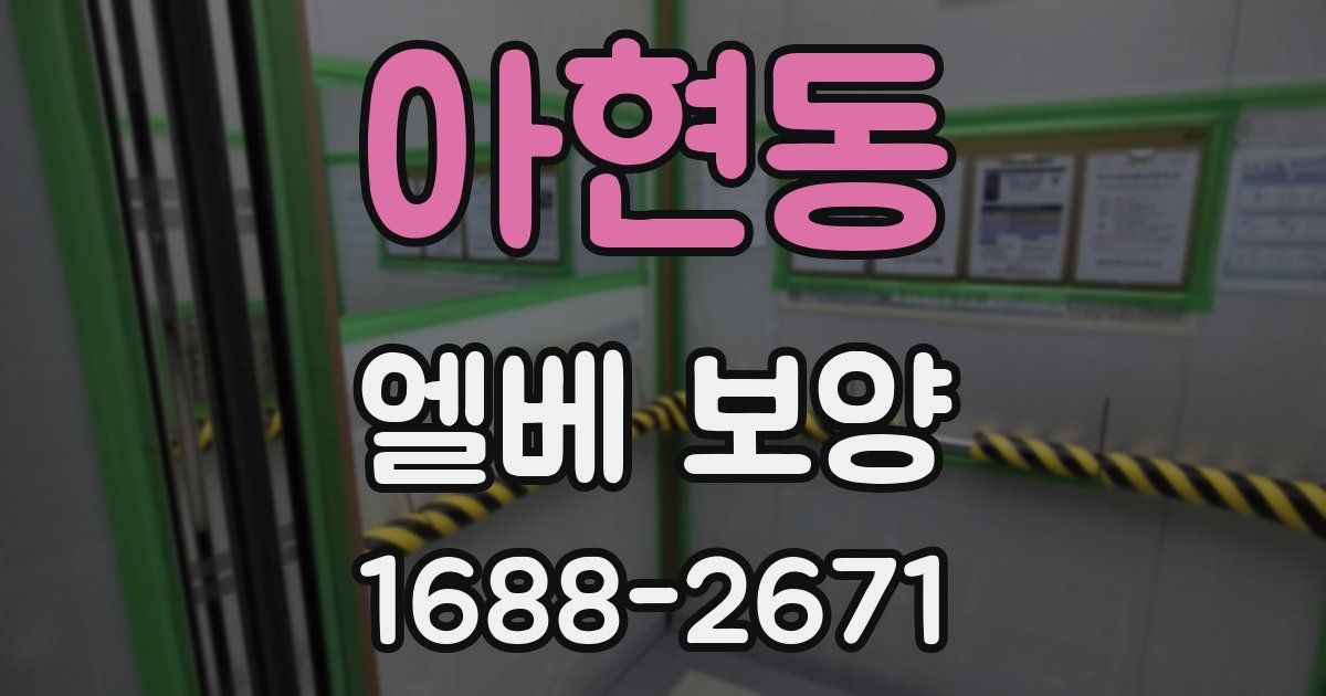 아현동 엘베 보양