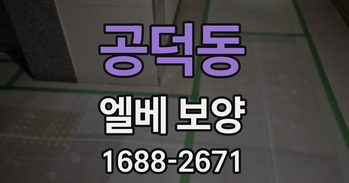 공덕동 엘베 보양