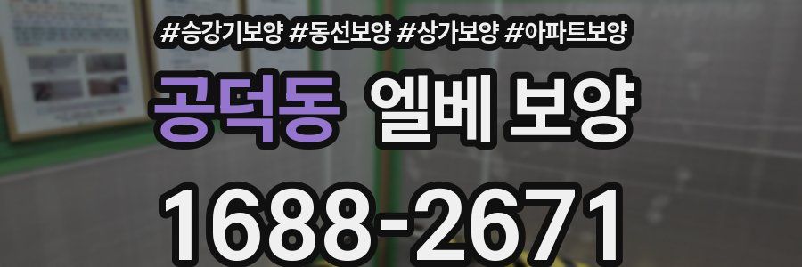 공덕동 엘베 보양