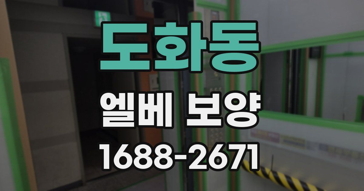 도화동 엘베 보양