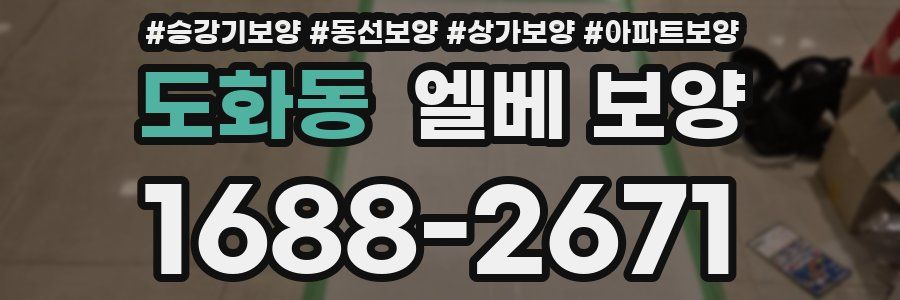 도화동 엘베 보양