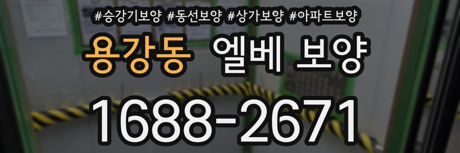 용강동 엘베 보양