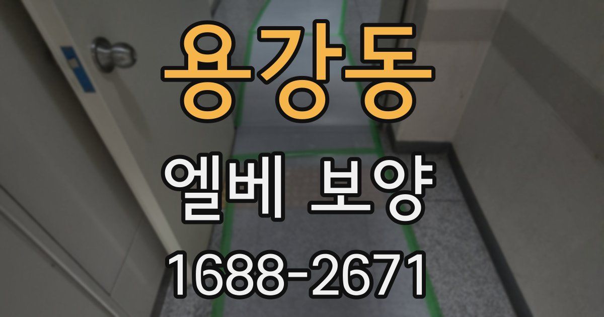 용강동 엘베 보양