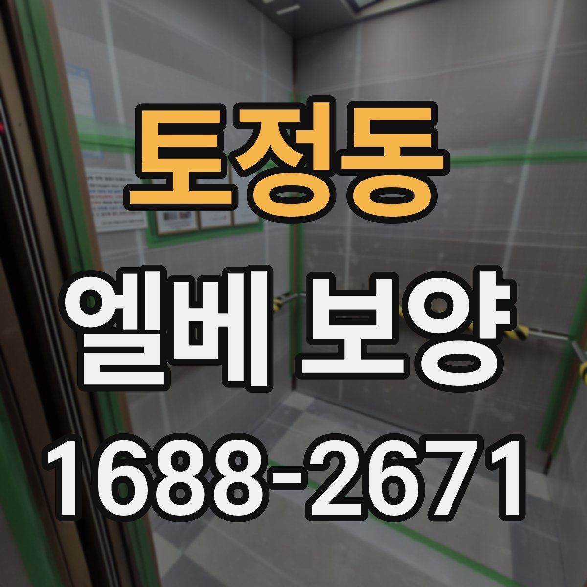 토정동 엘베 보양 작업 전후 사진이 필요한 순간