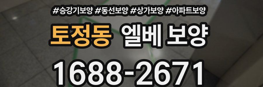 토정동 엘베 보양