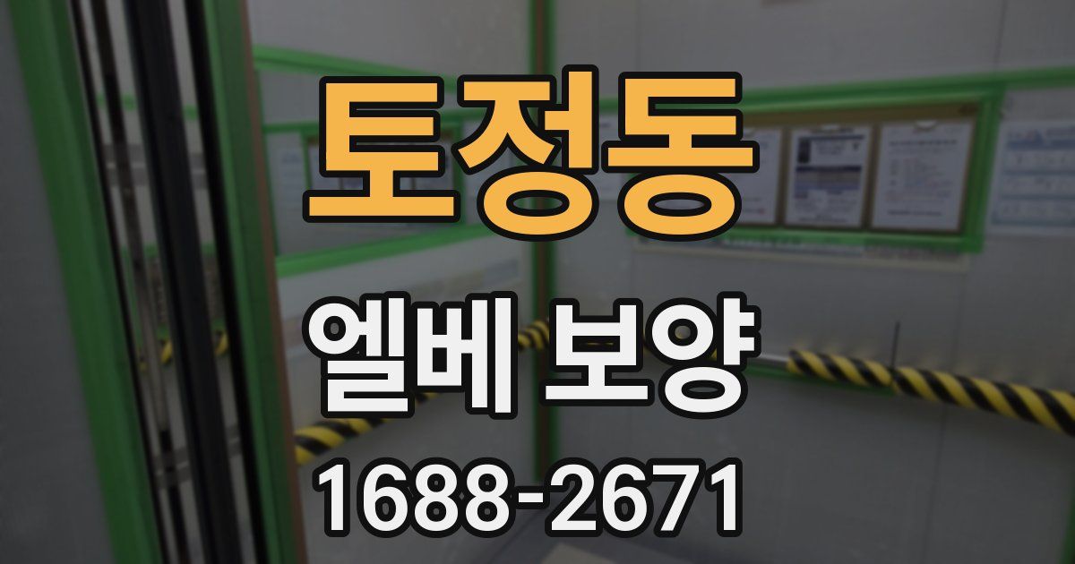 토정동 엘베 보양