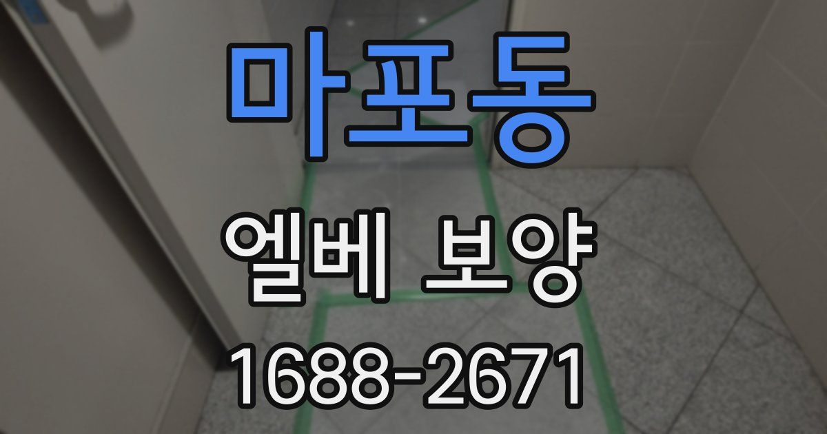 마포동 엘베 보양