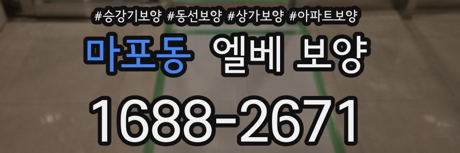 마포동 엘베 보양