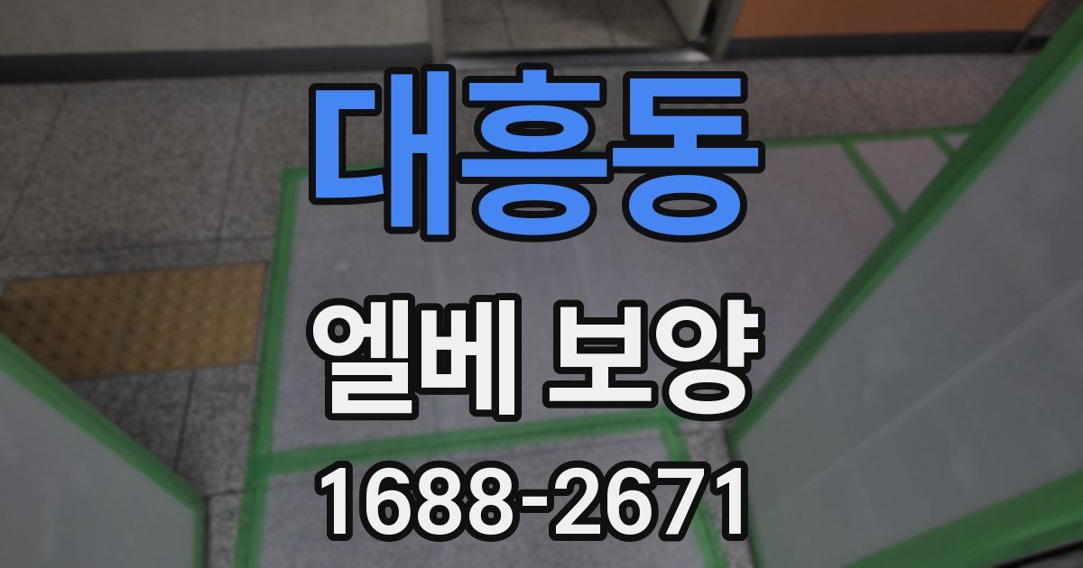 대흥동 엘베 보양