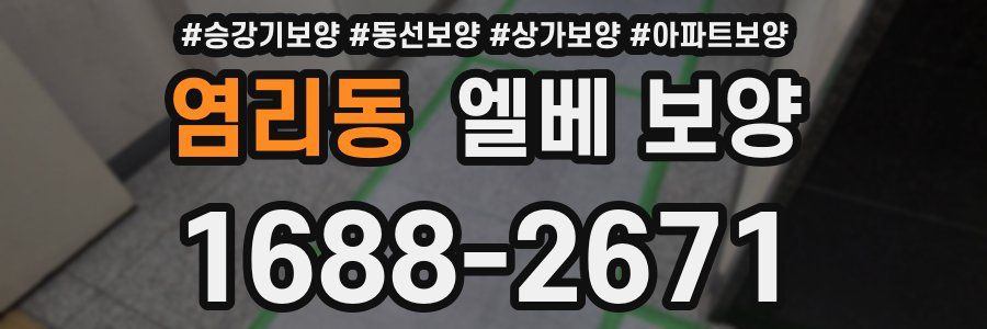 염리동 엘베 보양