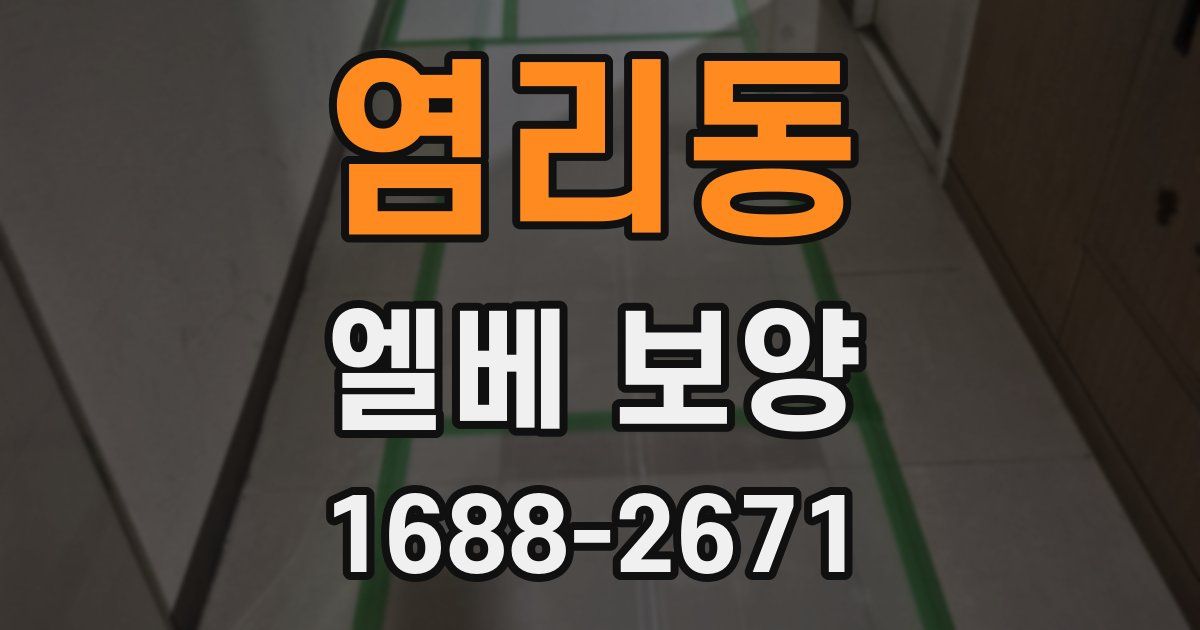 염리동 엘베 보양