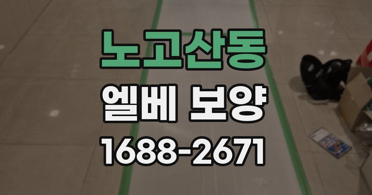 노고산동 엘베 보양