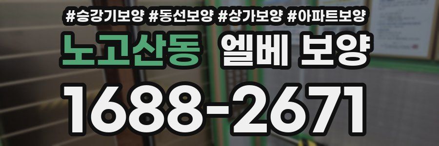 노고산동 엘베 보양